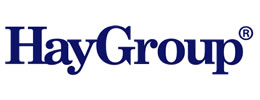 Hay Group Management Consultants