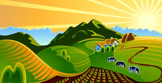Mediafax Talks about Agriculture 11